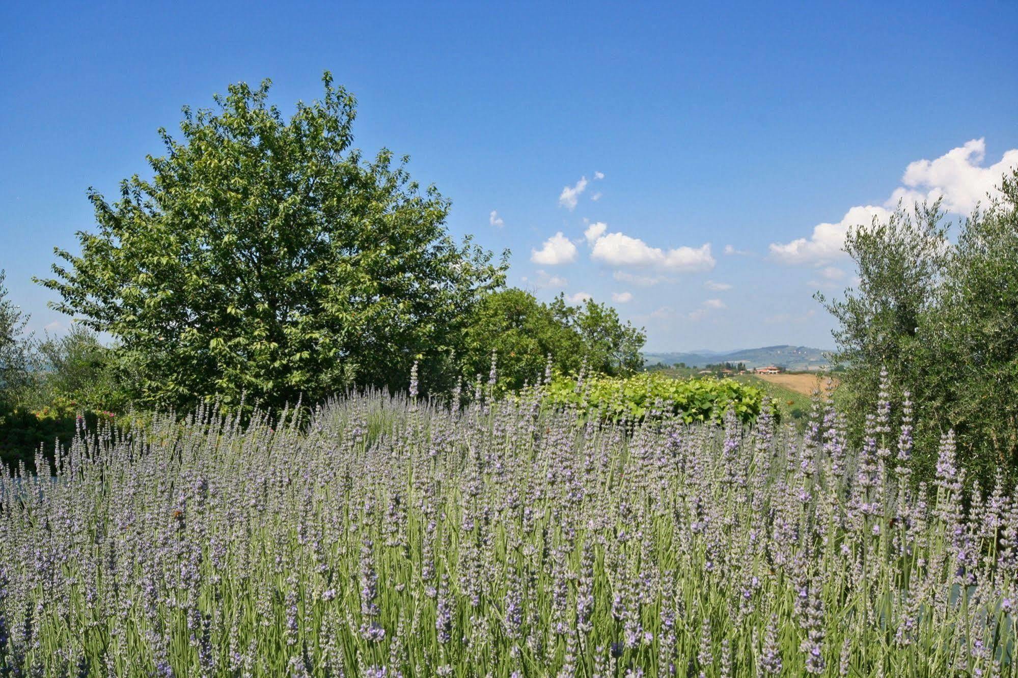 Podere Il Pino Poggibonsi Exterior foto